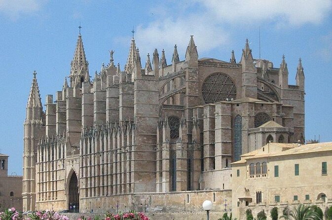 Segway Tour 1 Hour in Palma - Key points to know before booking