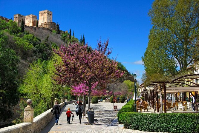 Segway Your Way Through Granada's History: The Ultimate Ride - Starting at Carrera del Darro