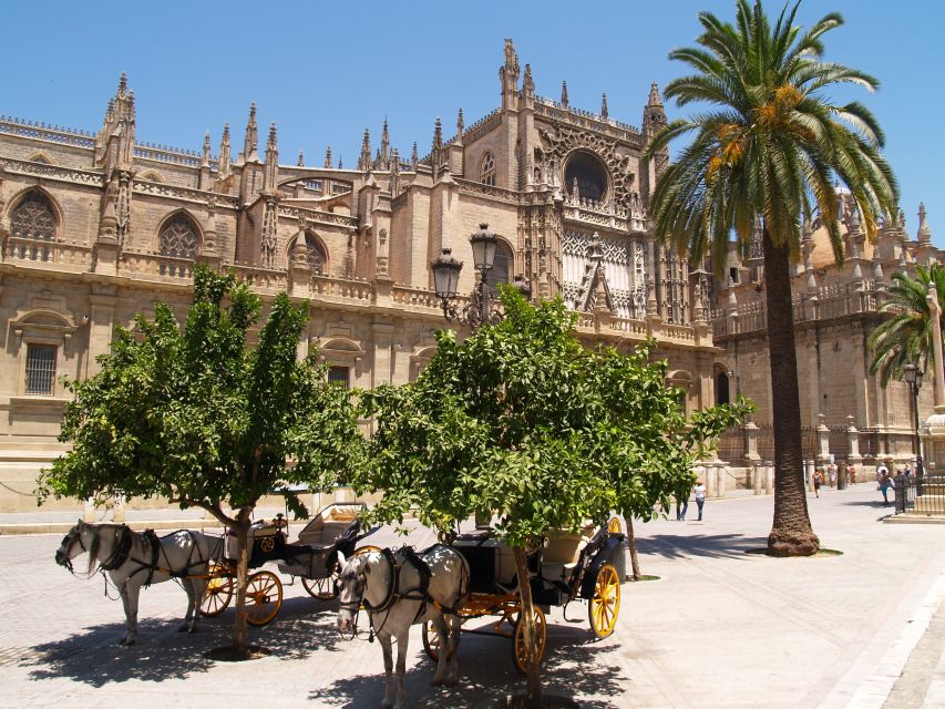 Seville: Alcázar Guided Palace Tour with Priority Access - The gardens and the time you get afterward