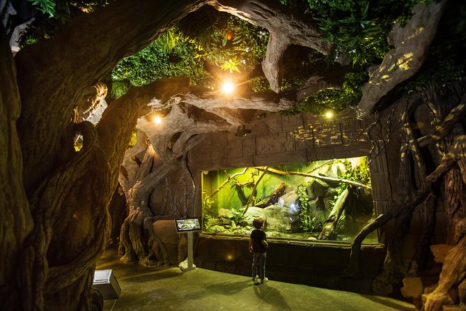 Seville Aquarium Admission Ticket - Make time for the jellyfish and smaller tanks