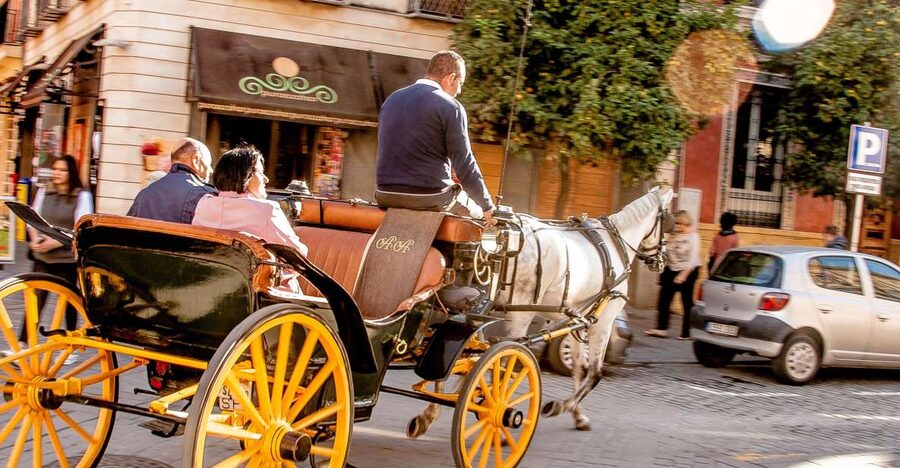 Seville: Authentic and Romantic Horse-Drawn Carriage Ride - What this carriage ride is really like