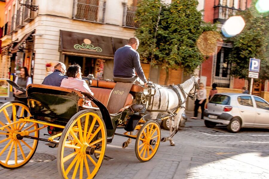 Seville: Authentic and Romantic Horse-Drawn Carriage Ride - Along the Guadalquivir and through Triana