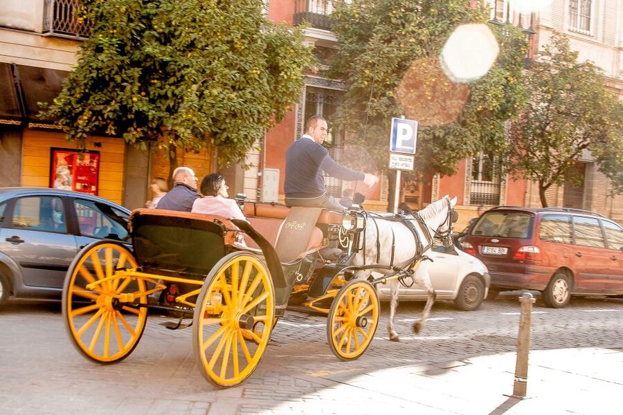 Seville: Authentic and Romantic Horse-Drawn Carriage Ride - The language question matters