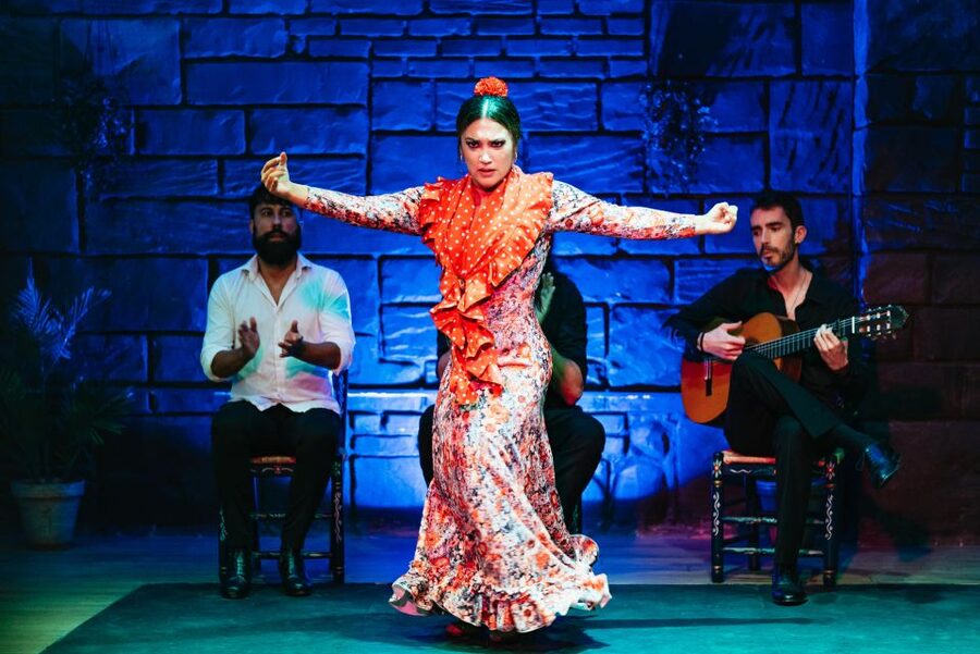 Seville: Baraka Sala Flamenca Show with Drink in Triana - The atmosphere: informal, serious, and close