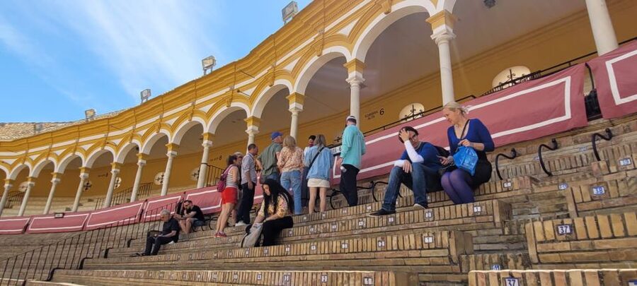 Seville: Bullring Guided Tour with a Skip-the-Line Ticket - Who should book this tour