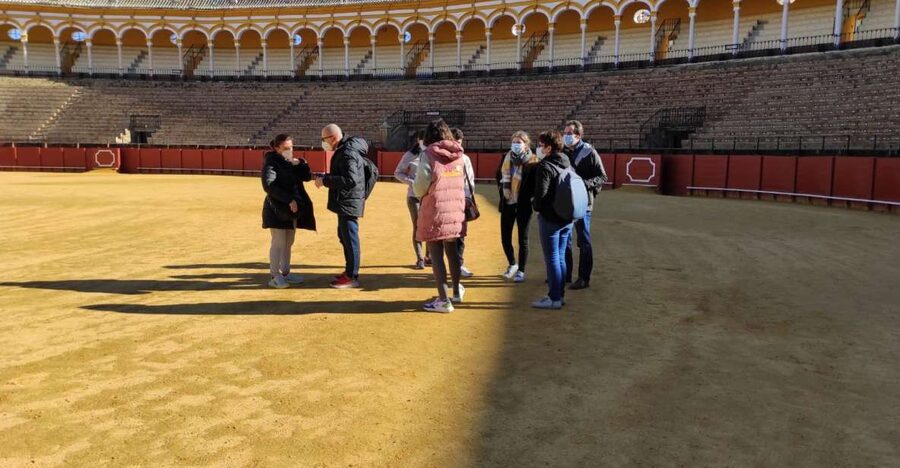 Seville: Bullring Guided Tour with a Skip-the-Line Ticket - Why Seville’s bullring is worth understanding