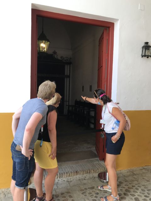 Seville: Bullring Guided Tour with a Skip-the-Line Ticket - The guide makes the difference