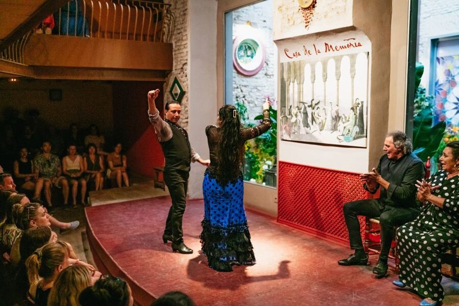 Seville: Casa de la Memoria Flamenco Show - The details that make flamenco work