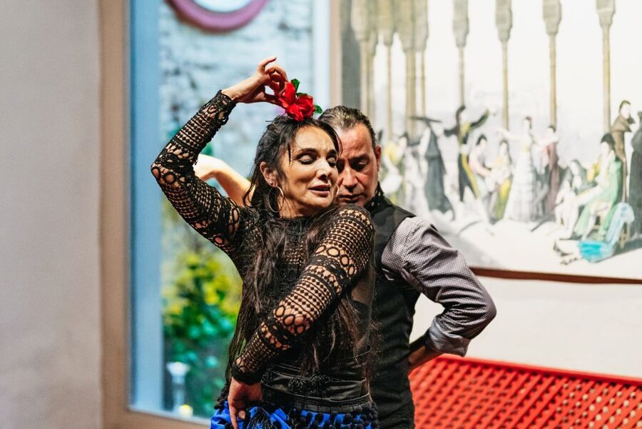 Seville: Casa de la Memoria Flamenco Show - Who will enjoy this most?