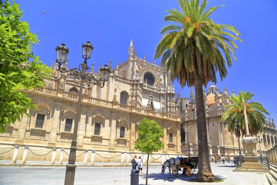 Seville: Cathedral, Giralda & Alcazar Entry With Guided Tour - Why this pairing works so well in Seville