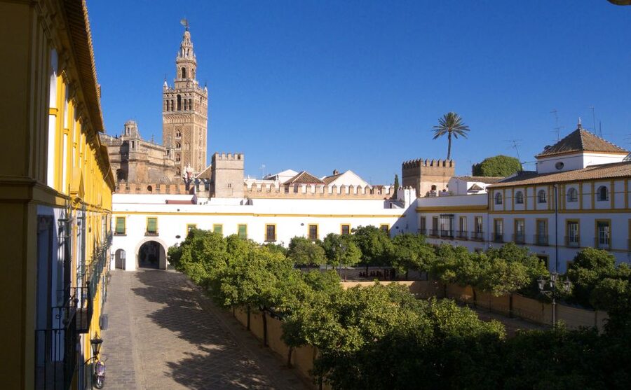 Seville: Cathedral, Giralda & Alcázar Guided Tour - Is the $69 price fair?