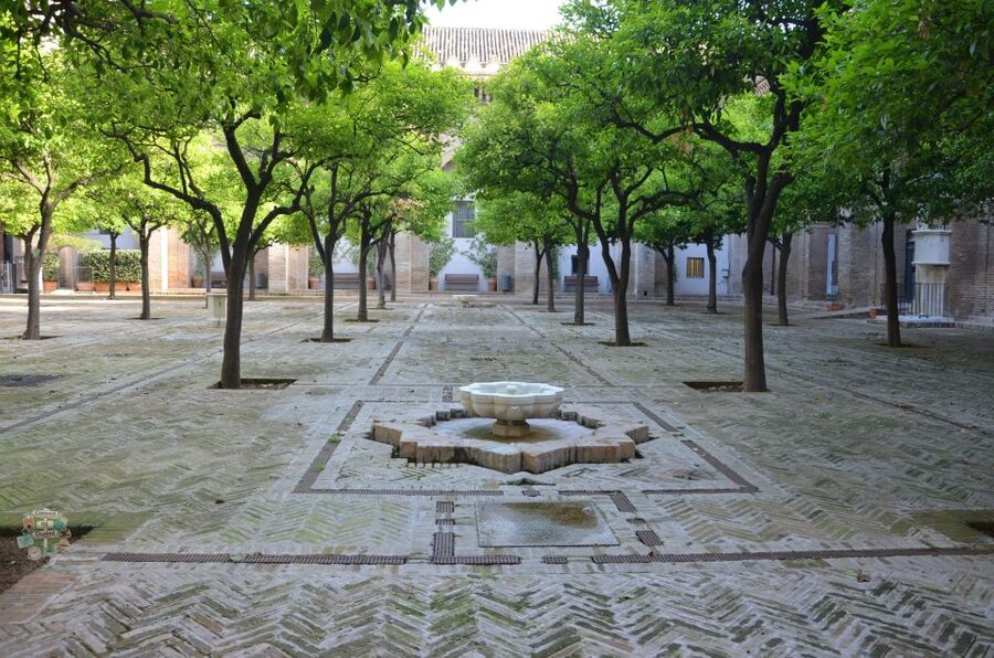 Seville: Cathedral, Giralda, and Royal Alcázar Guided Tour - Who will get the most from this tour