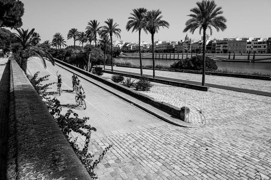 Seville: City Sightseeing and Local Culture Bike Tour - Torre del Oro and the waterfront