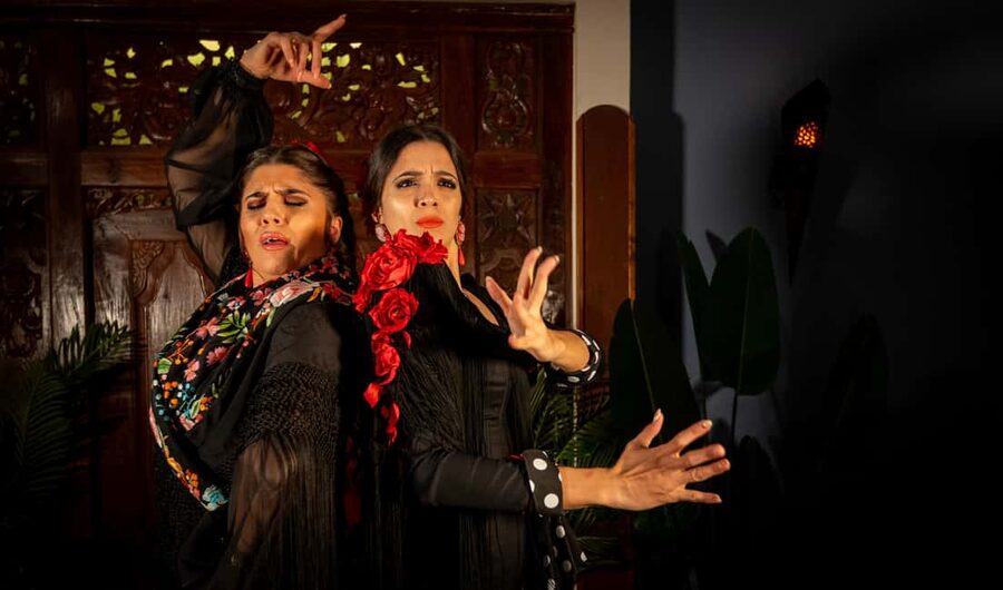 Seville: Flamenco Show at Tablao Almoraima in Triana - The one-hour show, from guitar to footwork