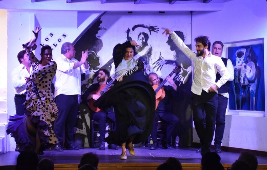 Seville: Flamenco Show at Tablao Los Gallos - Seats, drinks, and the practical details