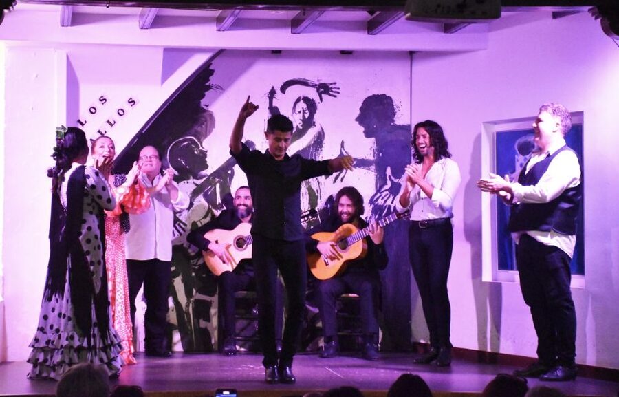 Seville: Flamenco Show at Tablao Los Gallos - Who will enjoy this show most