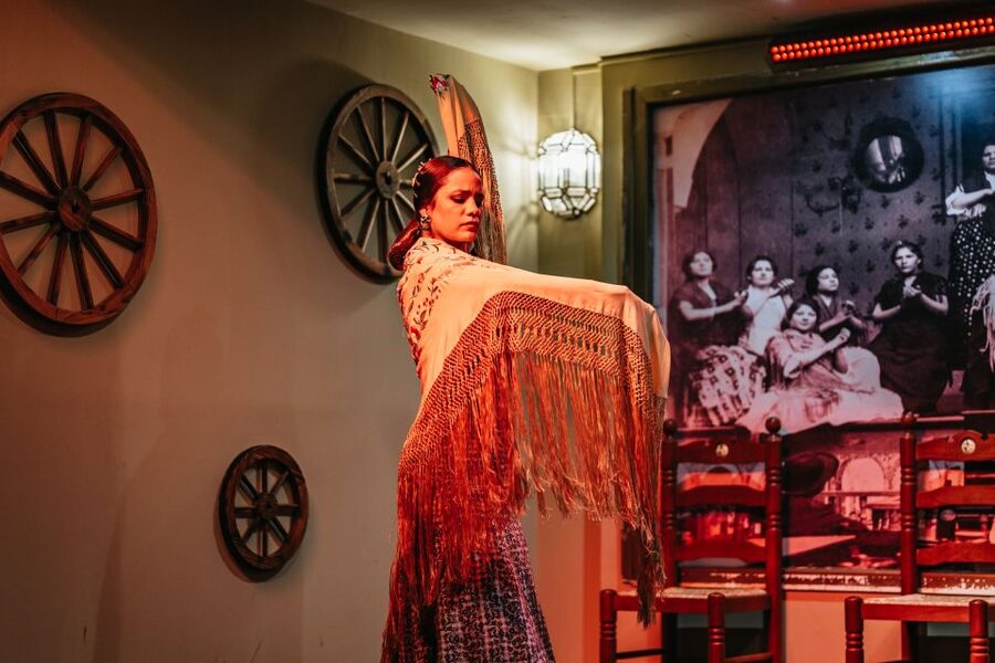 Seville: Flamenco Show with Andalusian Dinner at La Cantaora - Who will enjoy this show most