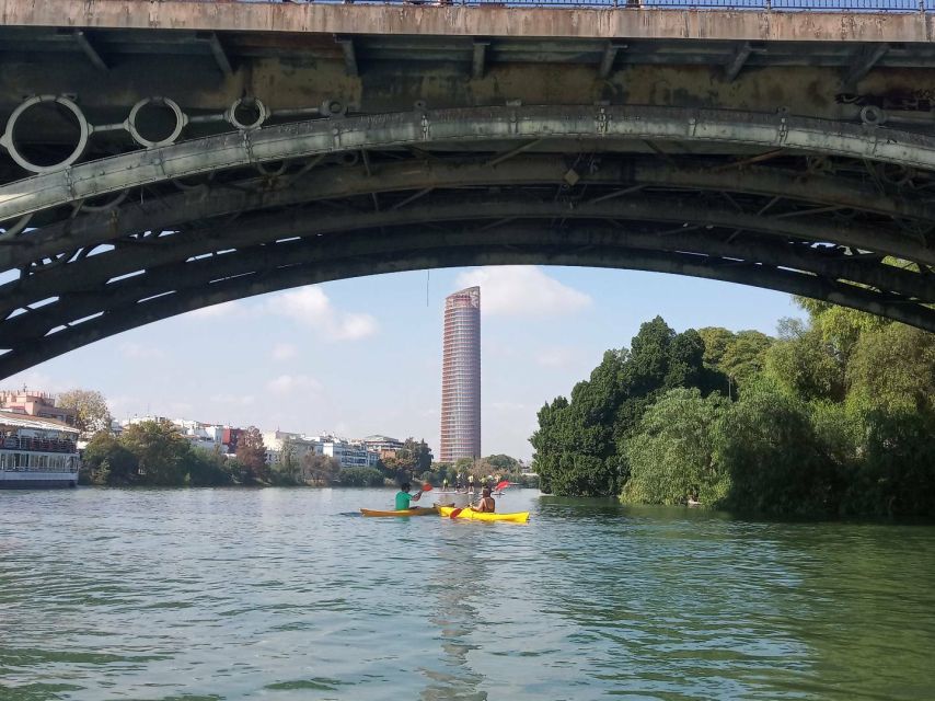Seville: Guadalquivir River Kayaking Trip - Who should book it?