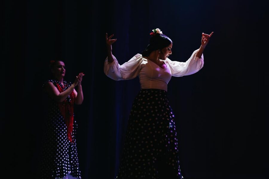 Seville: Live Flamenco Dancing Show Ticket at the Theater - Atmosphere, comfort, and the practical side