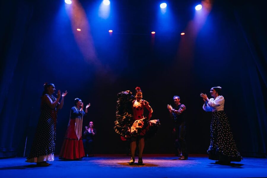 Seville: Live Flamenco Dancing Show Ticket at the Theater - Is $27 good value?