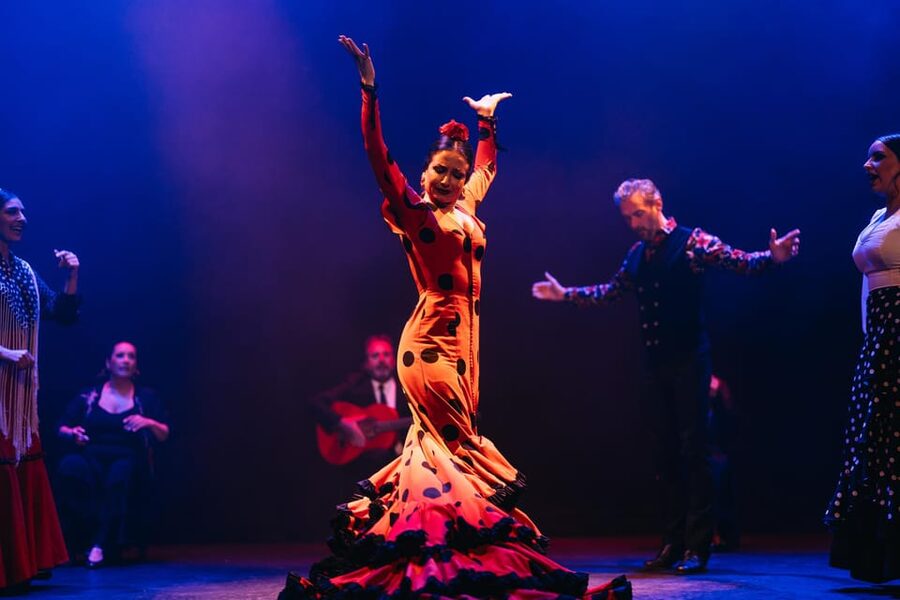 Seville: Live Flamenco Dancing Show Ticket at the Theater - Who should book this flamenco performance?