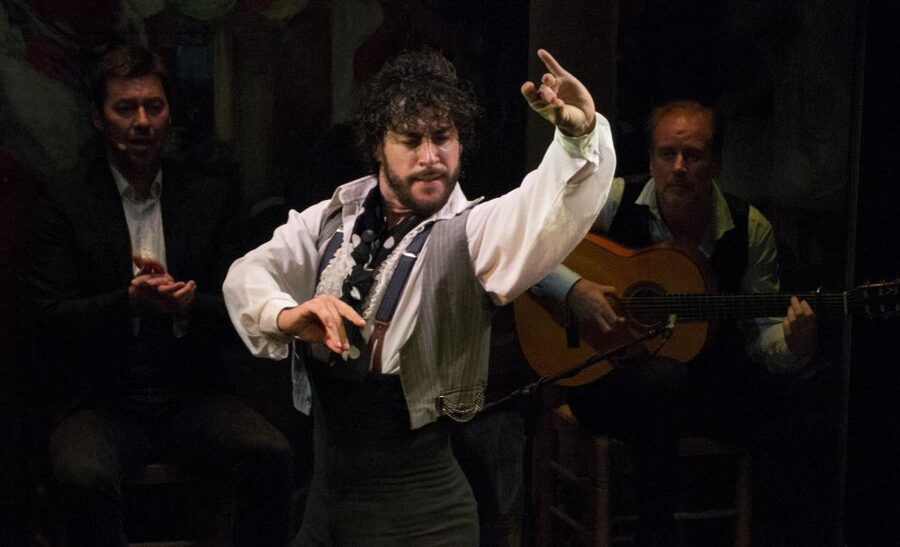 Seville: Live Flamenco Show at "Teatro Flamenco Triana" - The one-hour program: what you will see