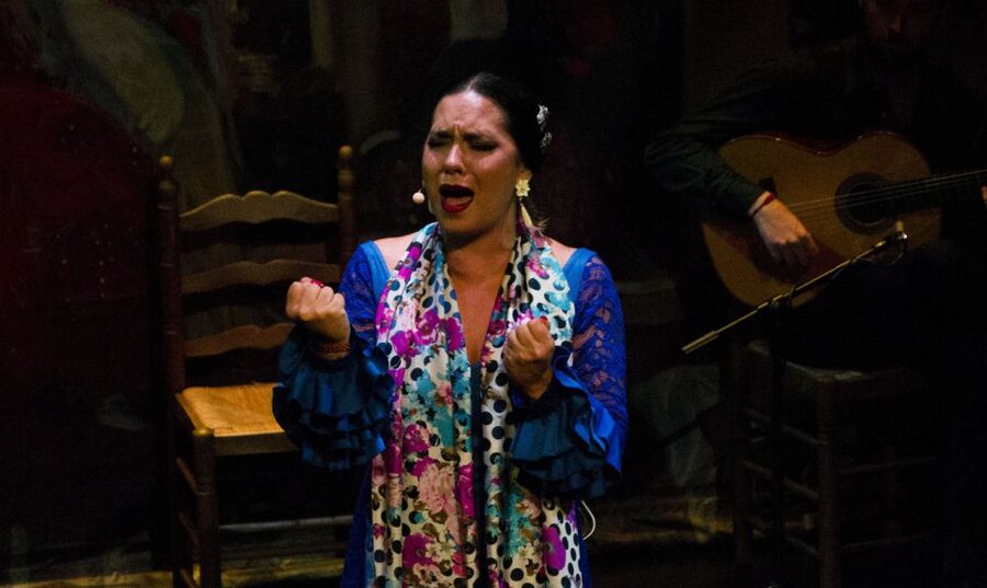 Seville: Live Flamenco Show at "Teatro Flamenco Triana" - Is $28 a fair price?