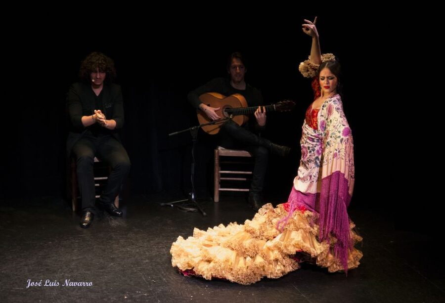 Seville: Live Flamenco Show at "Teatro Flamenco Triana" - Who will enjoy this most