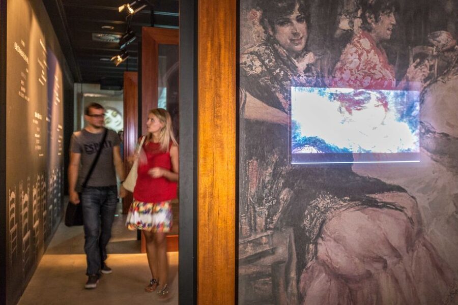 Seville: Museum of Flamenco Dance Admission Ticket - The costumes, props, and artwork