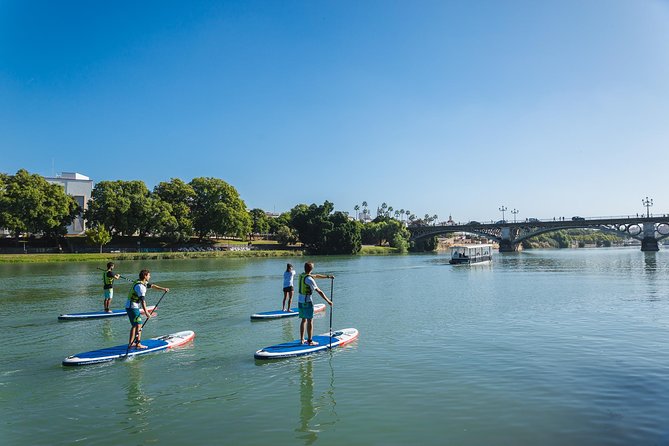 Seville: Paddle Surf Route and Class - Starting on Calle Betis beside the Guadalquivir