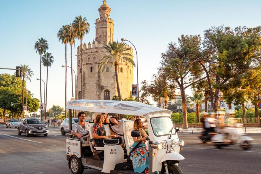 Seville: Private City Tour by Eco Tuk Tuk - What the guides add to the ride
