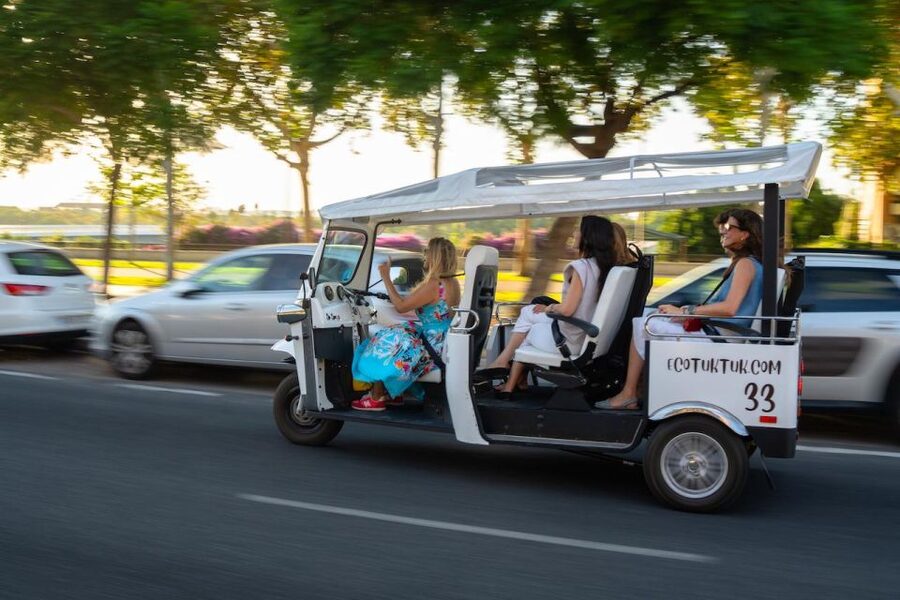 Seville: Private City Tour by Eco Tuk Tuk - Why a tuk tuk works well in Seville
