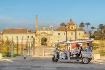 Private City Tour by Eco Tuk Tuk