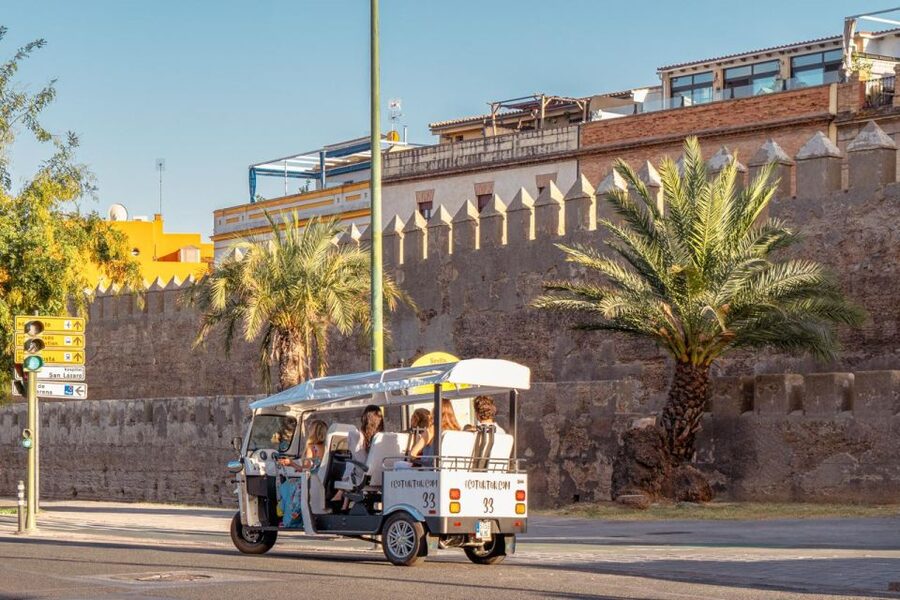 Seville: Private City Tour by Eco Tuk Tuk - The longer ride and the Cartuja area