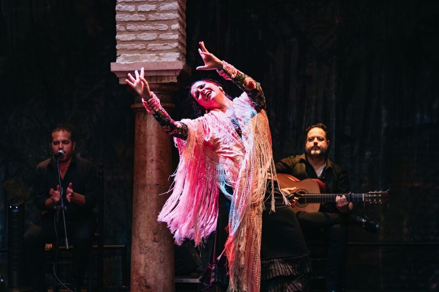 Seville: Puro Flamenco Show with Optional Museum Ticket - Practical value at $34 per person