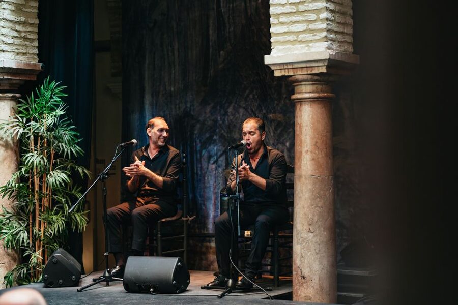 Seville: Puro Flamenco Show with Optional Museum Ticket - Adding the Flamenco Dance Museum