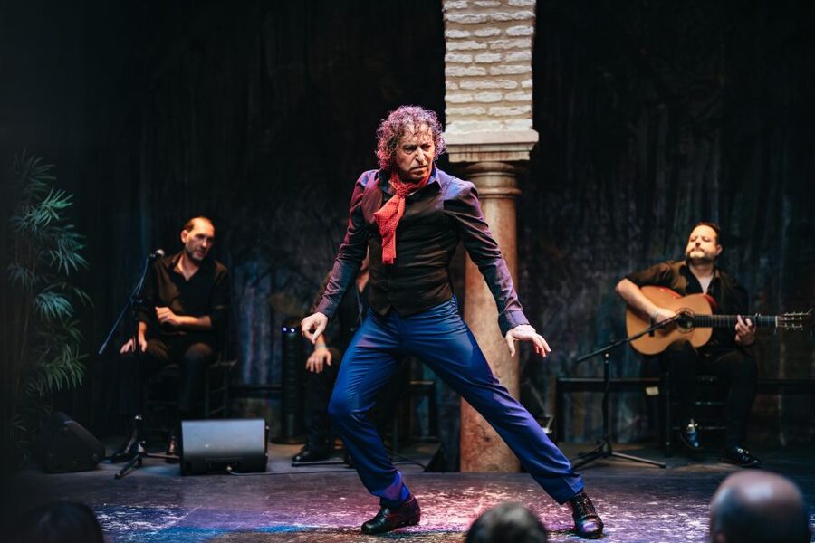 Seville: Puro Flamenco Show with Optional Museum Ticket - What makes the performance feel authentic
