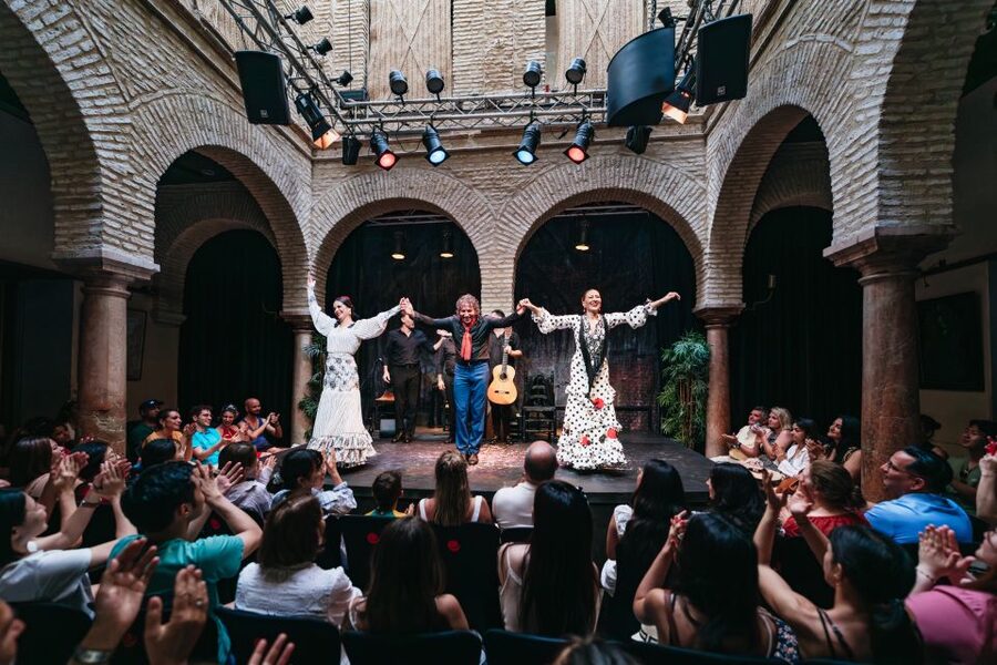 Seville: Puro Flamenco Show with Optional Museum Ticket - Who should book this show?