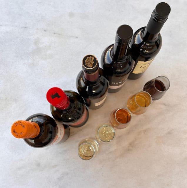 Seville: Sherry Wine Tasting with Light Snacks - Five sherries, five different personalities