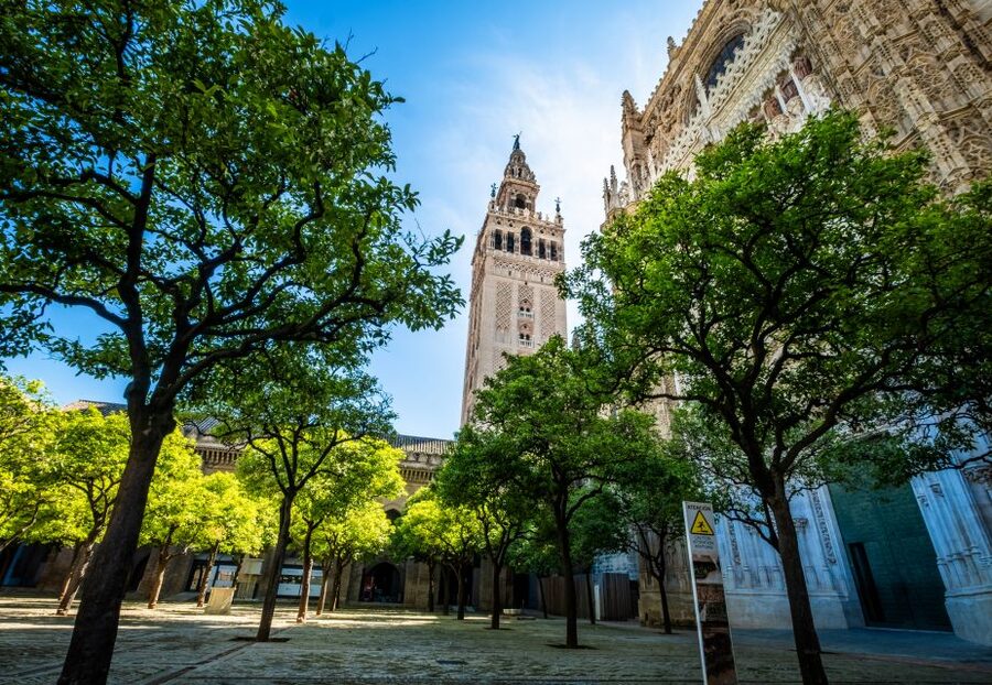 Seville: Small-Group Cathedral and Giralda Tour with Tickets - Climbing La Giralda by 34 ramps