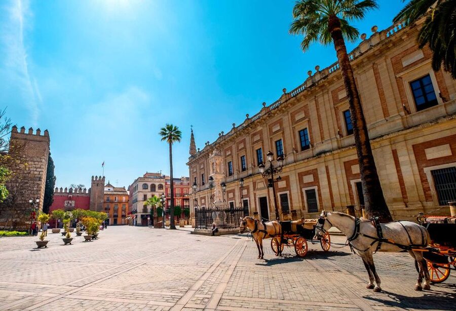 Seville: Small-Group City Highlights Walking Tour - Meeting at Plaza de San Francisco