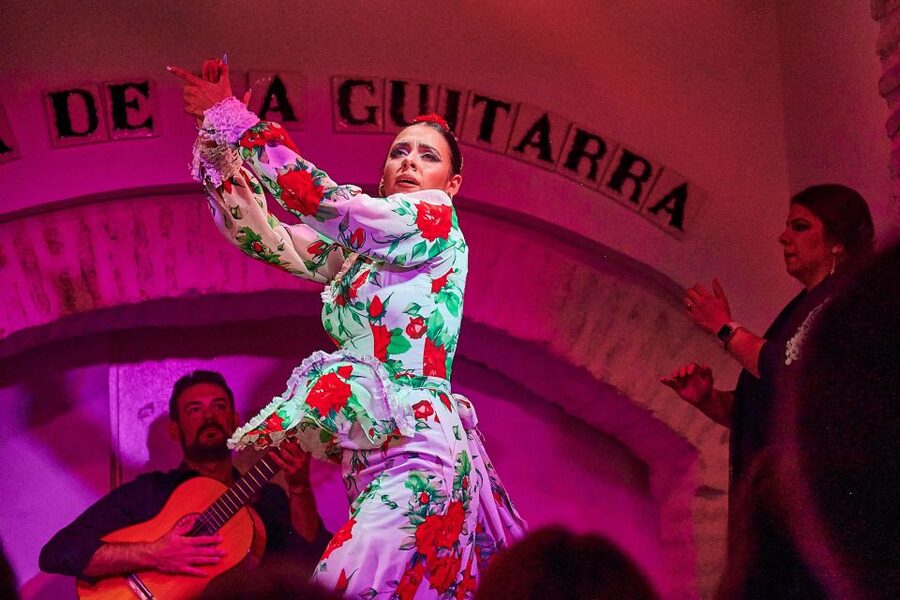 Seville: Ticket to Flamenco Show at La Casa de la Guitarra - The intimacy: strength and small drawback