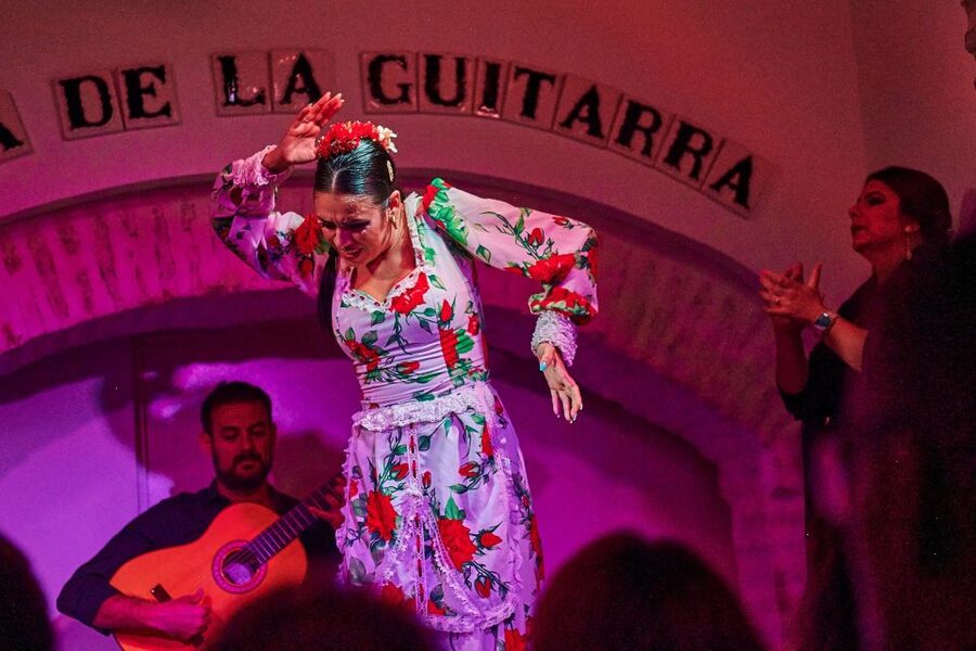 Seville: Ticket to Flamenco Show at La Casa de la Guitarra - Is $23 a fair price?