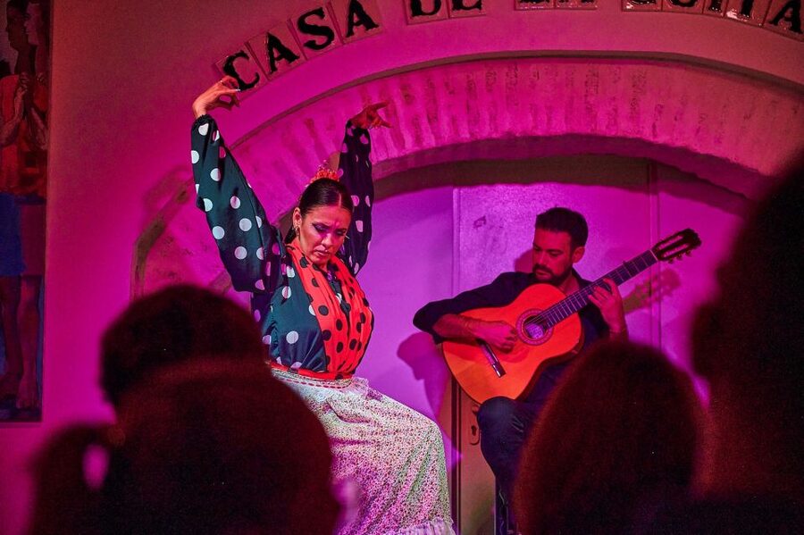 Seville: Ticket to Flamenco Show at La Casa de la Guitarra - Who should book this show?