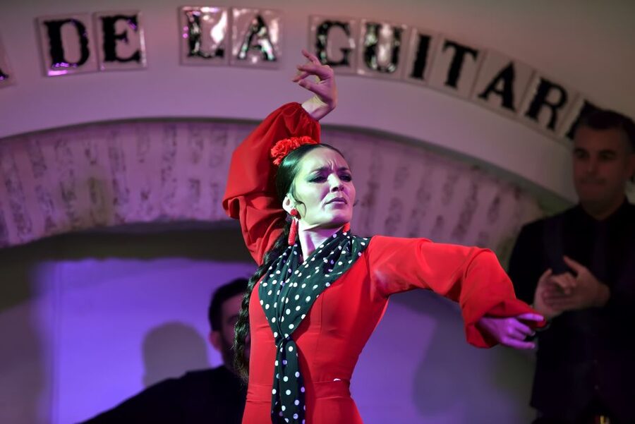 Seville: Ticket to Flamenco Show at La Casa de la Guitarra - The short introduction before the music