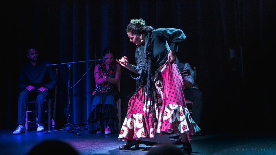Seville: Traditional Flamenco Show in Triana - Who will enjoy this show most?