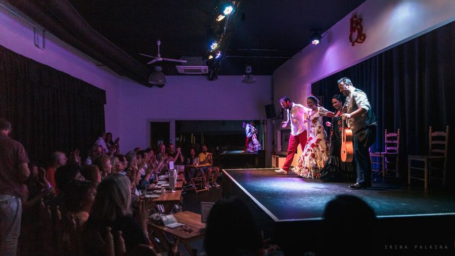 Seville: Traditional Flamenco Show in Triana - The four-person lineup and its strengths