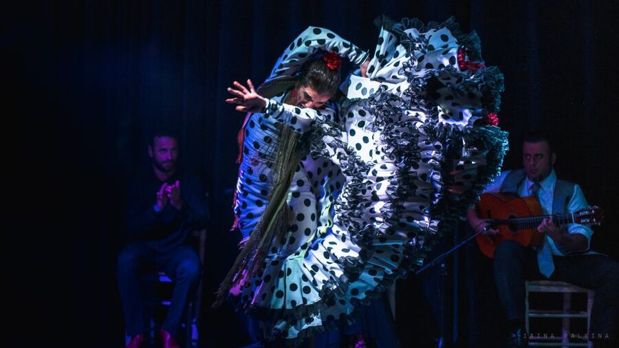 Seville: Traditional Flamenco Show in Triana - Guadalquivir views and the small bar