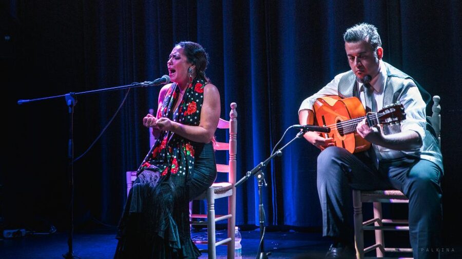 Seville: Traditional Flamenco Show in Triana - Photography, recording, and show etiquette