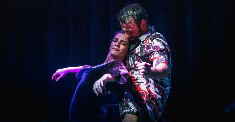 Seville: Traditional Flamenco Show in Triana - What happens during the one-hour performance